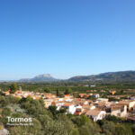 TORMOS